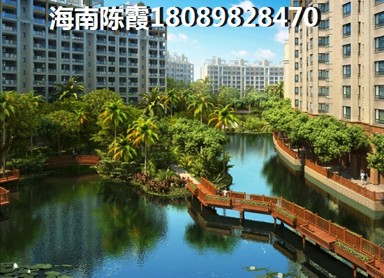 钻石海岸优势