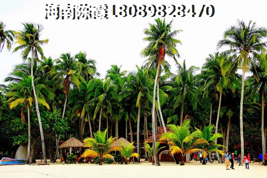 恒大海上帝景房子涨价了吗？
