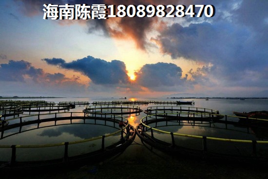 香水湾1号
