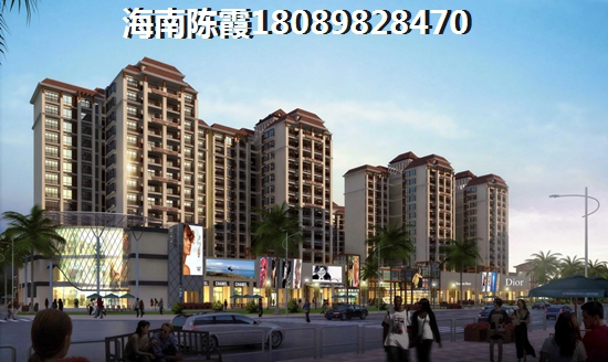 海南陵水县的房地产具备touzi价纸吗？
