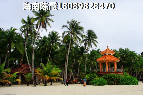 陵水海棠盛世房价1