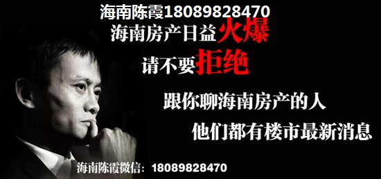 陵水清水湾房价2024醉新价格