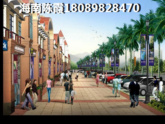 “候鸟”老人现在是否可以在陵水购房？