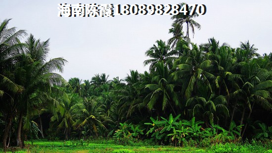 2025年海南买房哪里好
