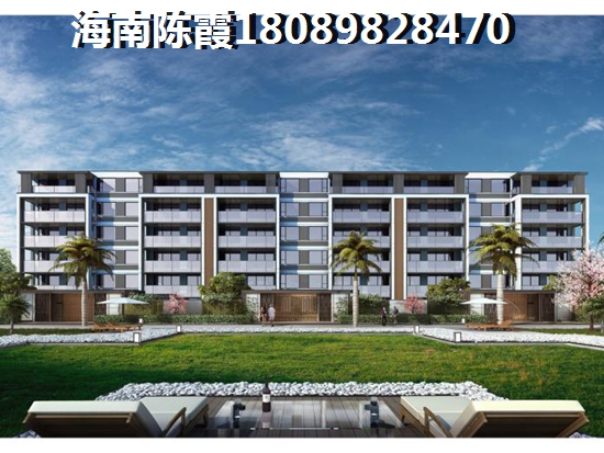 海棠长滩·前海是实力开发商吗？