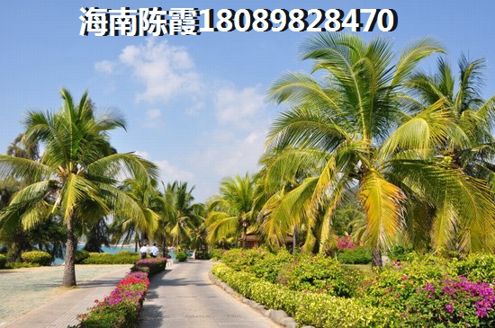 这辈子的自己是什么歌