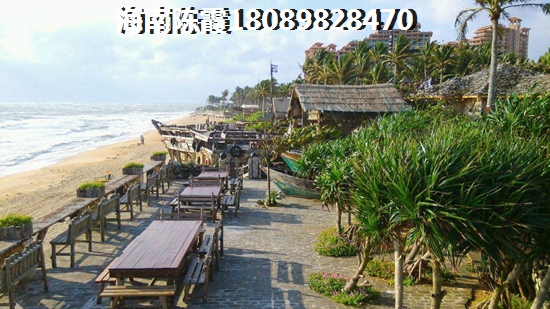 海南陵水土福湾在哪里，碧桂园海棠盛世101平户型图