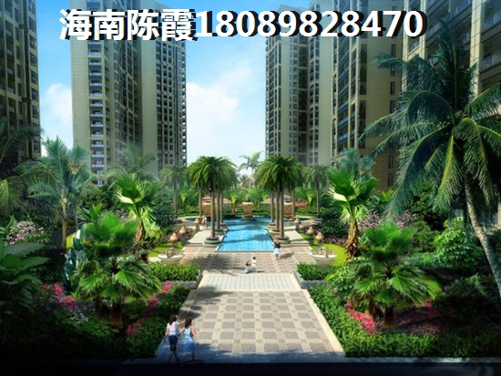 茶叶小片是什么茶叶品种
